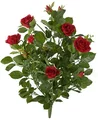 28 Inch Rose Bushes - Red, Pink, And White