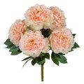 21 Inch Flowering Peony Bush | Peach, Red, Light Pink, Burgundy/Fuchsia, White