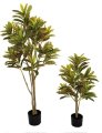 NATURAL TOUCH CROTON PLANT | 3 FOOT OR 5 FOOT SIZES
