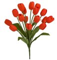 18.5 Inch Firesafe Tulip Bushes | Pink, Yellow, Orange, Or White