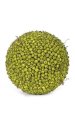 Green Berry Ball - 1,300 Berries