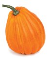 Foam Pumpkin - Orange