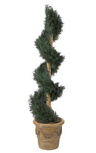 Juniper Spiral - Natural Trunk - Green- Custom Made