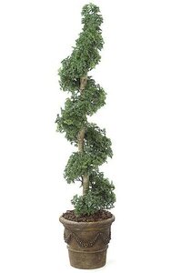 Artificial Outdoor Ming Aralia Spiral - Natural Trunk - Green- Custom Made