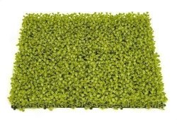 20 INCH X 20 INCH X 1 INCH POLYBLEND OUTDOOR BOXWOOD MAT | LIME GREEN OR BURGUNDY