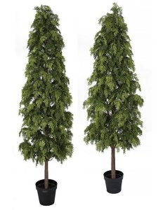 NATURAL TOUCH POTTED HINOKI CYPRESS TREE SHRUB | 6 FT. OR 7 FT.