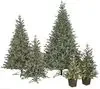 Full Size Appalachian Fir Tree With Twinkling Led Lights