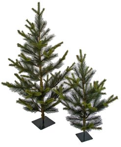 4 Foot Or 6 Foot Scotch Pine Christmas Holiday Tree