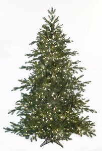 Cumberland Fir Trees with Micro LED Lights | 6' to 15' Tall