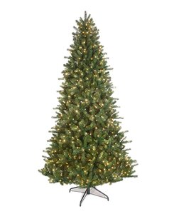 Grand Noble Fir Slim Trees | Power Pole | 3 Sizes