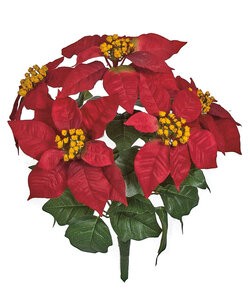 13" Poinsettia Bush x 5 Flowers | Velvet Red or White/Green