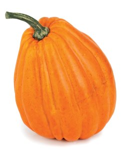 Foam Pumpkin - Orange