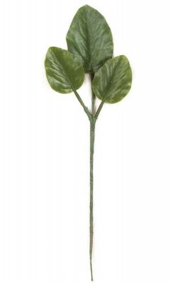 Banyan Twig - 3 Leaves - Green - Special Order