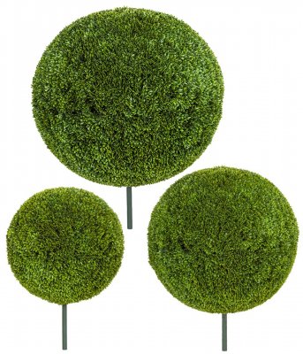 Japanese Boxwood Balls | 24 Inches, 30 Inches, Or 42 Inches