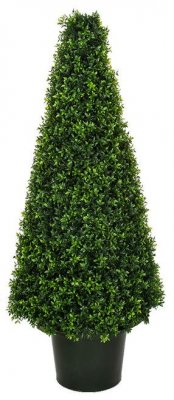 Uv Dwarf Boxwood Cone Topiary In 4 Foot And 6 Foot Sizes