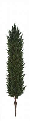 Polyblend Outdoor Cypress Tree/Shrubs | 8 Ft. 10 Ft. Or 12 Ft. Tall