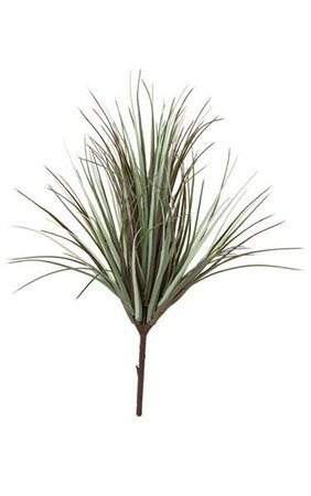 26 inches Outdoor Onion Grass Bush - 23 inches Width - Bare Stem