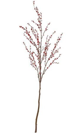 9 feet Plum Tree - 40 inches Stem - 35 inches Width