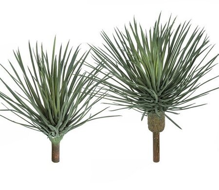 ARTIFICIAL SENECIO SUCCULENT PLANT | 16 inches OR 22 inches SIZES