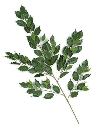 41 inches Ficus Branch - 101 Leaves - Green