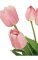 19" Tulip Bush - 8 Flowers - 12" Width - Bare Stem