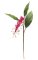 24 inches Ginger Flower Stem - Soft Touch - 3 Leaves - 1 Flower - Beauty