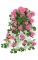 28 inches Geranium Bush - 25 Flower Clusters - 198 Leaves - FIRE RETARDANT