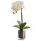 24" Orchid Phalaenopsis Artificial Arrangement in Vase