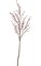 9 feet Plum Tree - 40 inches Stem - 35 inches Width