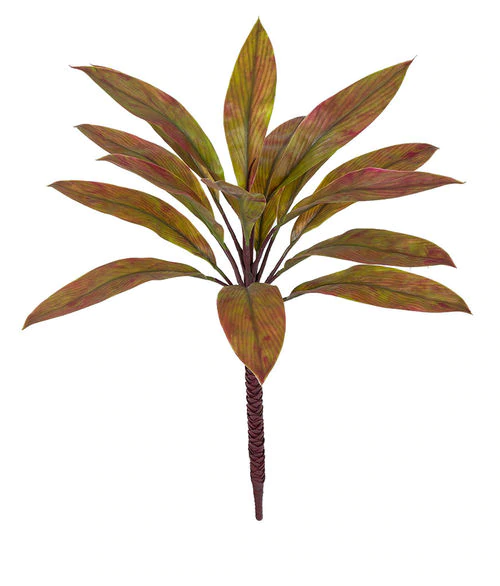 36 Inch Or 60 Inch Polyblend Uv Cordyline Plant