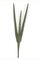 Plastic Sansevieria Plant - Tutone Green - 6 inches Stem- FIRE RETARDANT