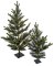 4 Foot Or 6 Foot Scotch Pine Christmas Holiday Tree