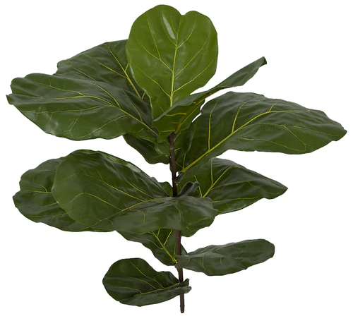 30 inch fiddle leaf fig branch (sold per piece) regular or ifr