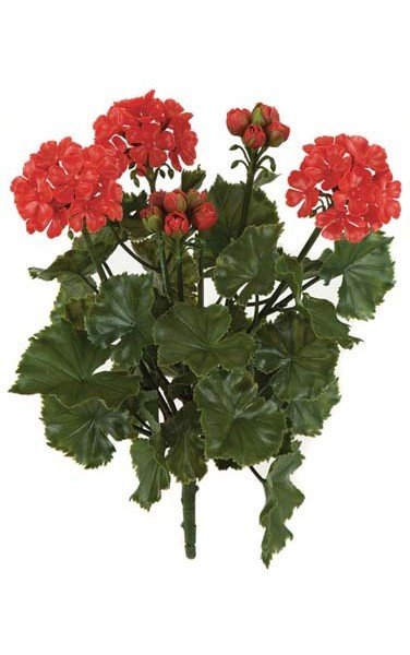 17 inches Outdoor Geranium Bush - 3 Flowers - 2 Buds - 12 inches Width
