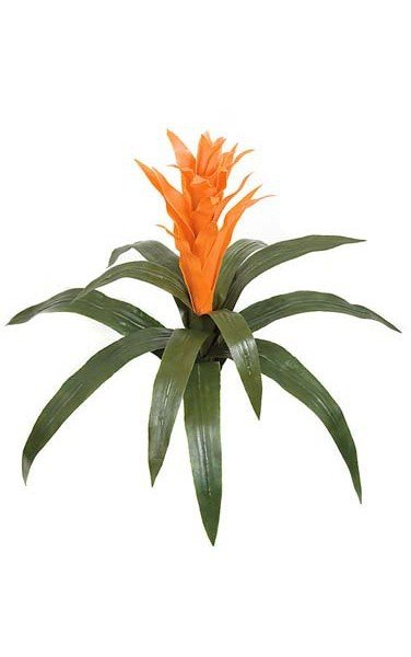 22 inches Bromeliad - 12 Green Leaves - 19 inches Width