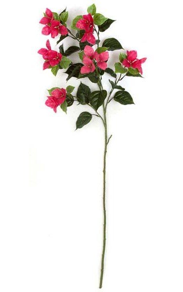 45 inches Outdoor Bougainvillea Stem - 6 Flowers - 25 inches Stem