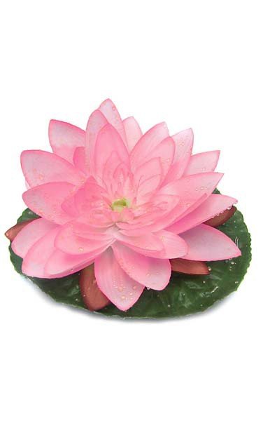7" Water Lily with Raindrops - 1 Leaf - 1 Flower