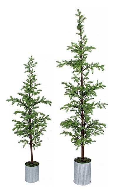 POTTED JUNIPER TREE | 6 FOOT OR 7 FOOT TREES