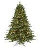 Instant Shape Full Virginia Pine Trees With Twinkle Led Lights
