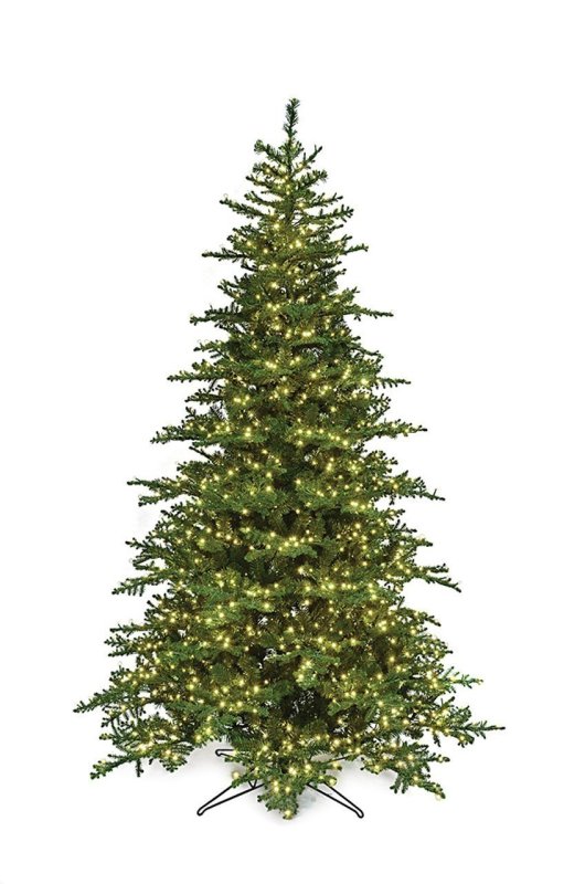 PE/PVC LAYERED ROSEMARY PINE TREES WITH 3MM LED LIGHTS | 5 FT. TO 12 FT. TALL
