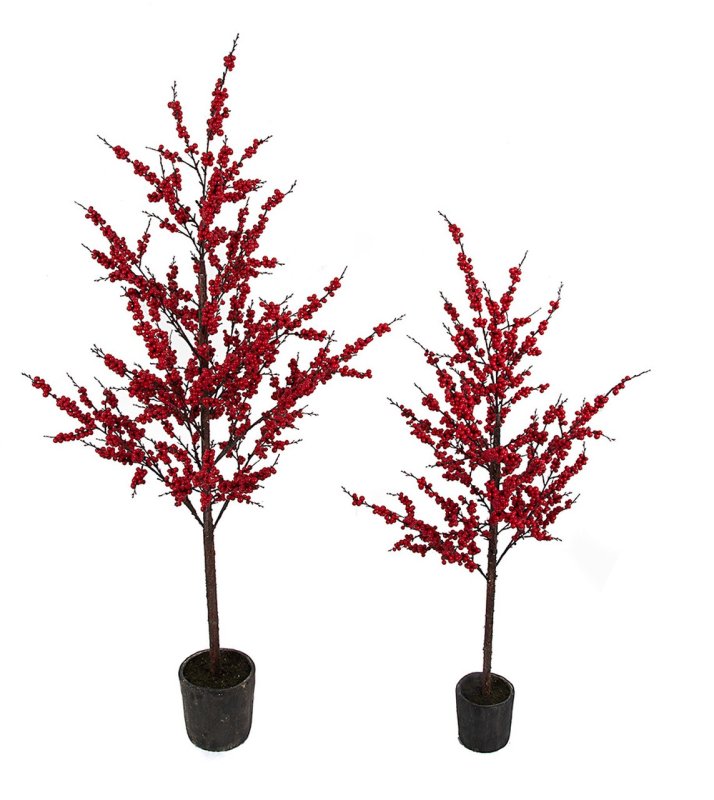 Red Winterberry Tree | 53 Inches Or 68 Inches