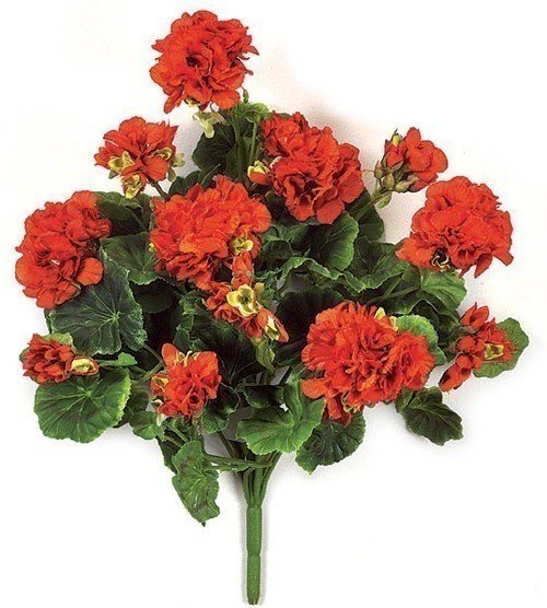 17" Geranium Bush - 70 Leaves - 12 Flowers - Red