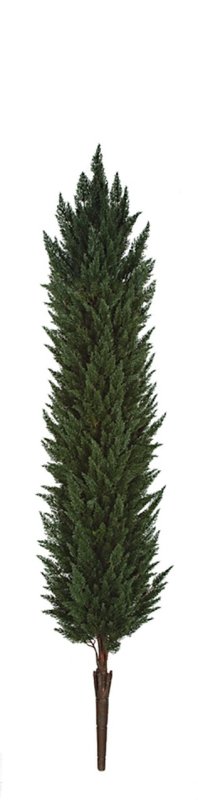 Polyblend Outdoor Cypress Tree/Shrubs | 8 Ft. 10 Ft. Or 12 Ft. Tall