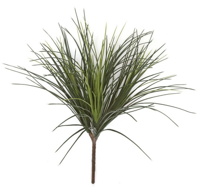 26 inches Outdoor Onion Grass  - Tutone Green - 23 inches Width - Bare Stem
