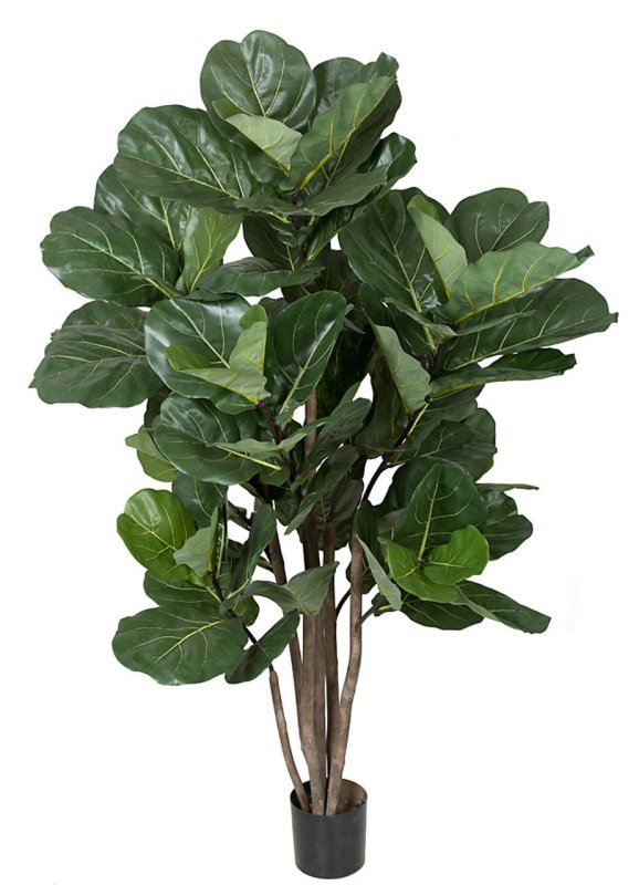 68 Inch Fiddle Leaf Tree - Regular Or Ifr